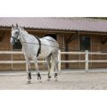 Longues rênes Riding World cuir/corde 1