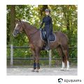 Amortisseur Air Mesh QHP 2