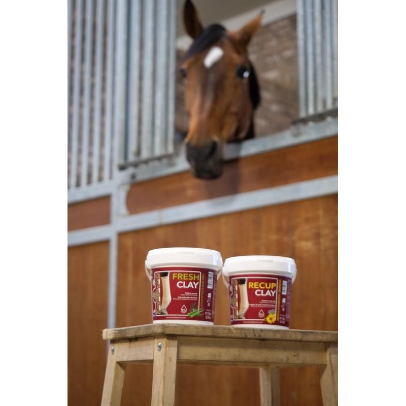 Image lifestyle d'un cheval avec Fresh Clay de Kevin Bacon's pour soins post-effort. 4