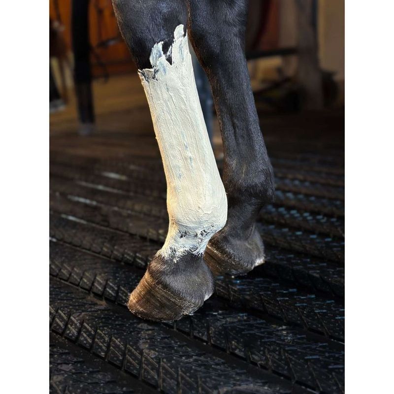 Cheval recevant un traitement à l'argile Recup Clay de Kevin Bacon's sur sa jambe dans une écurie. 1