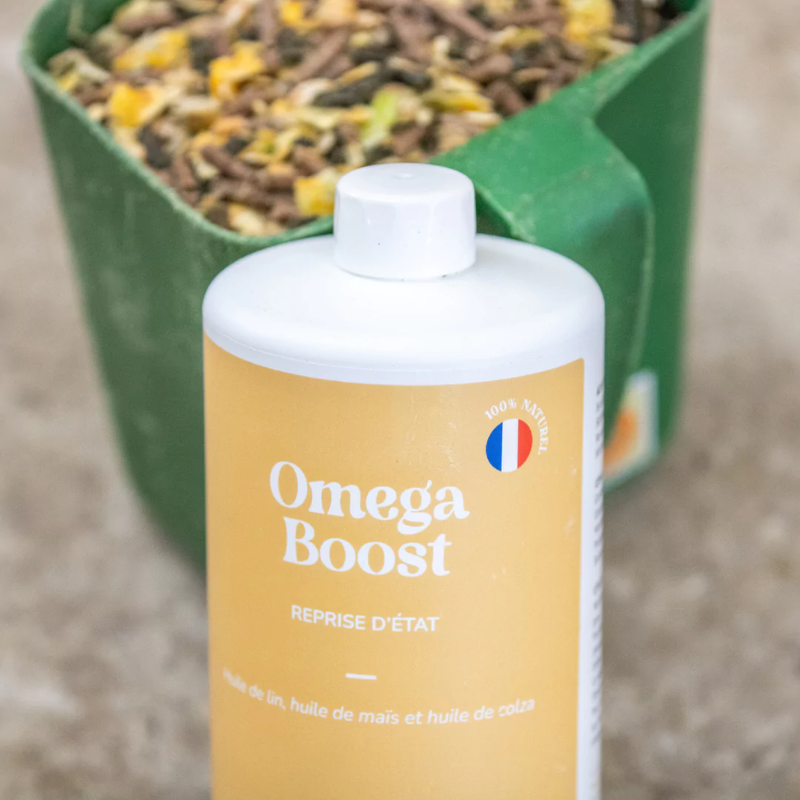 Huile Omega Boost Allo Naturel, format 1L, pour la reprise d'état général